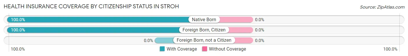 Health Insurance Coverage by Citizenship Status in Stroh