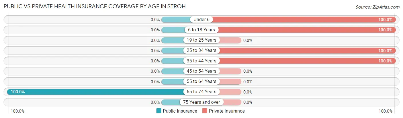 Public vs Private Health Insurance Coverage by Age in Stroh