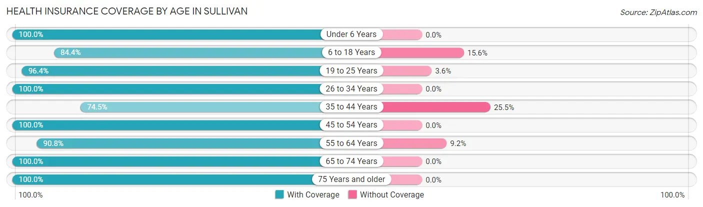 Health Insurance Coverage by Age in Sullivan
