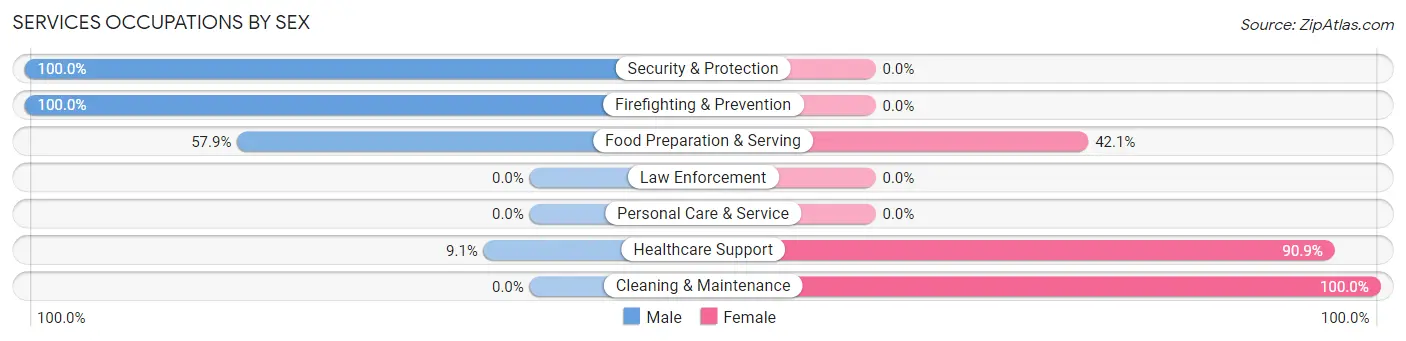 Services Occupations by Sex in Summitville