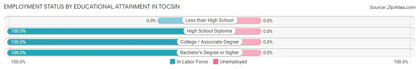 Employment Status by Educational Attainment in Tocsin