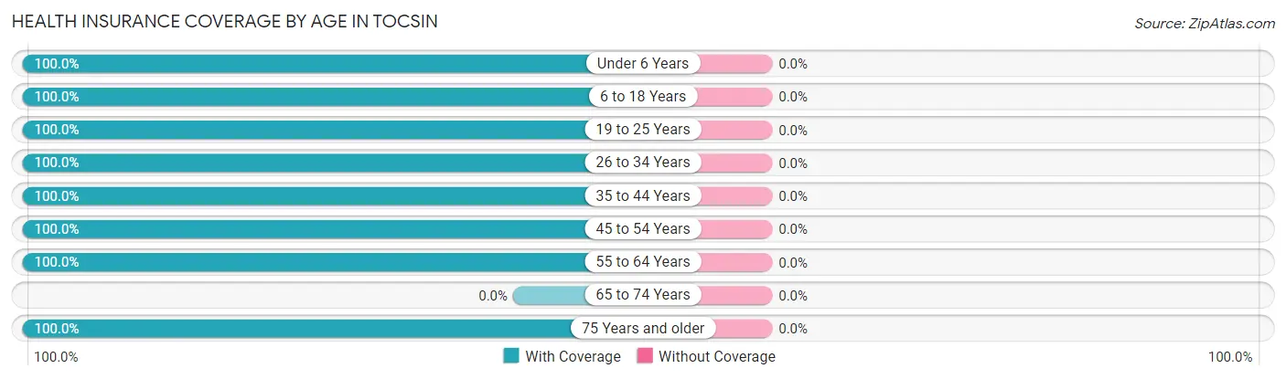 Health Insurance Coverage by Age in Tocsin