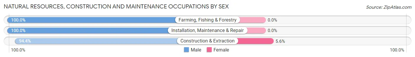 Natural Resources, Construction and Maintenance Occupations by Sex in Trail Creek