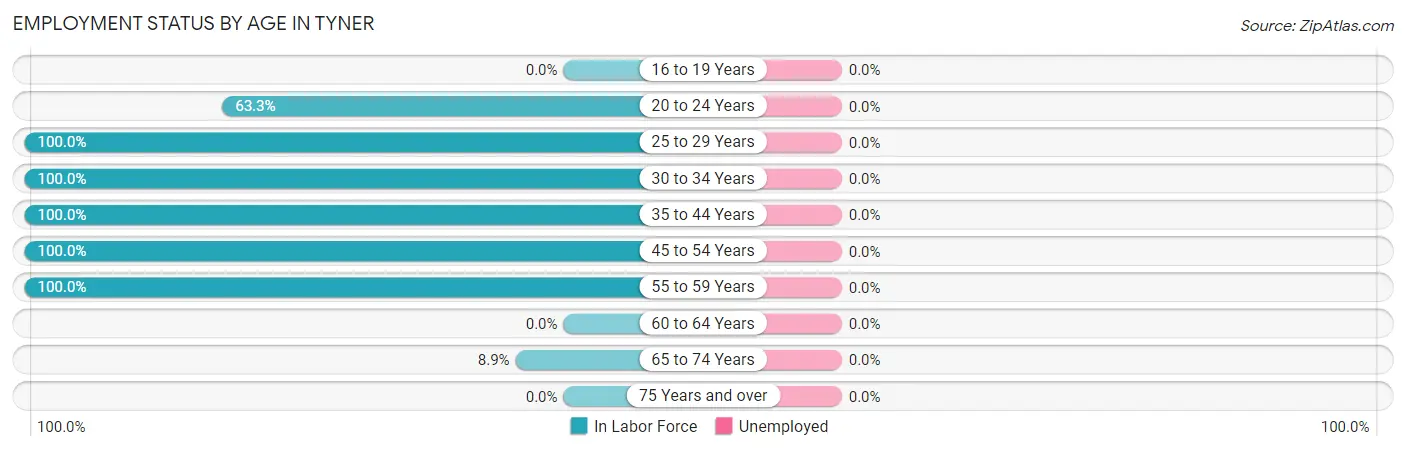 Employment Status by Age in Tyner