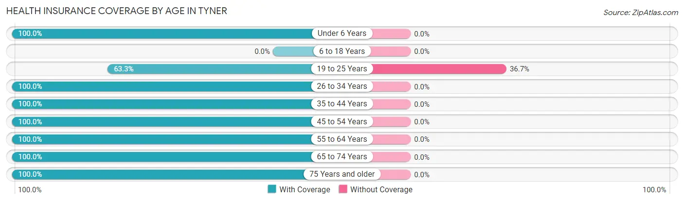 Health Insurance Coverage by Age in Tyner