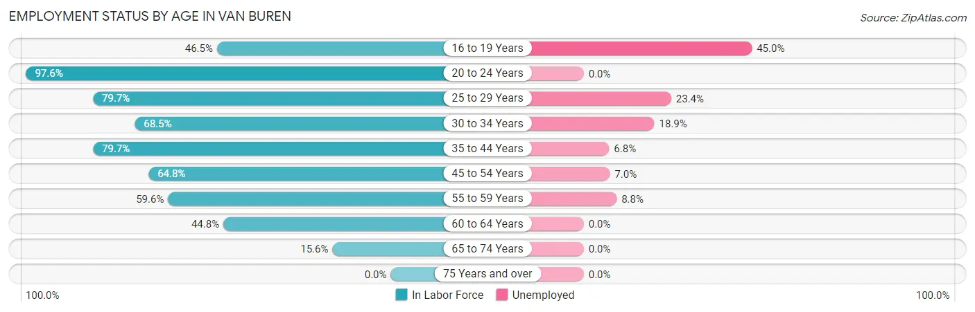 Employment Status by Age in Van Buren