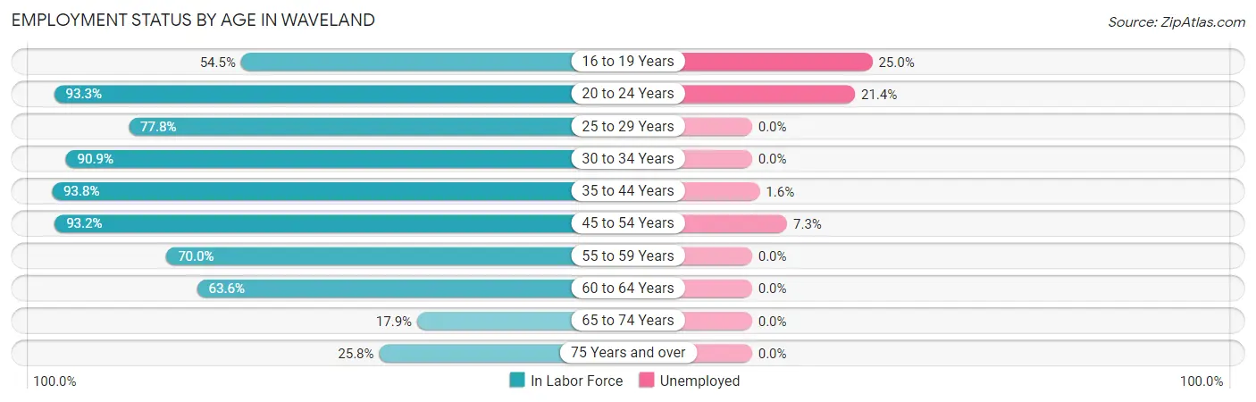 Employment Status by Age in Waveland