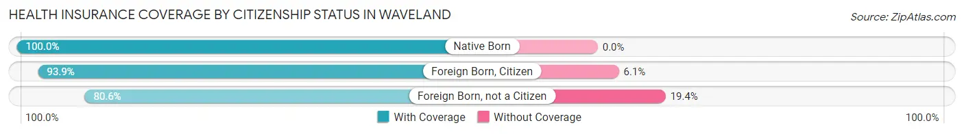 Health Insurance Coverage by Citizenship Status in Waveland