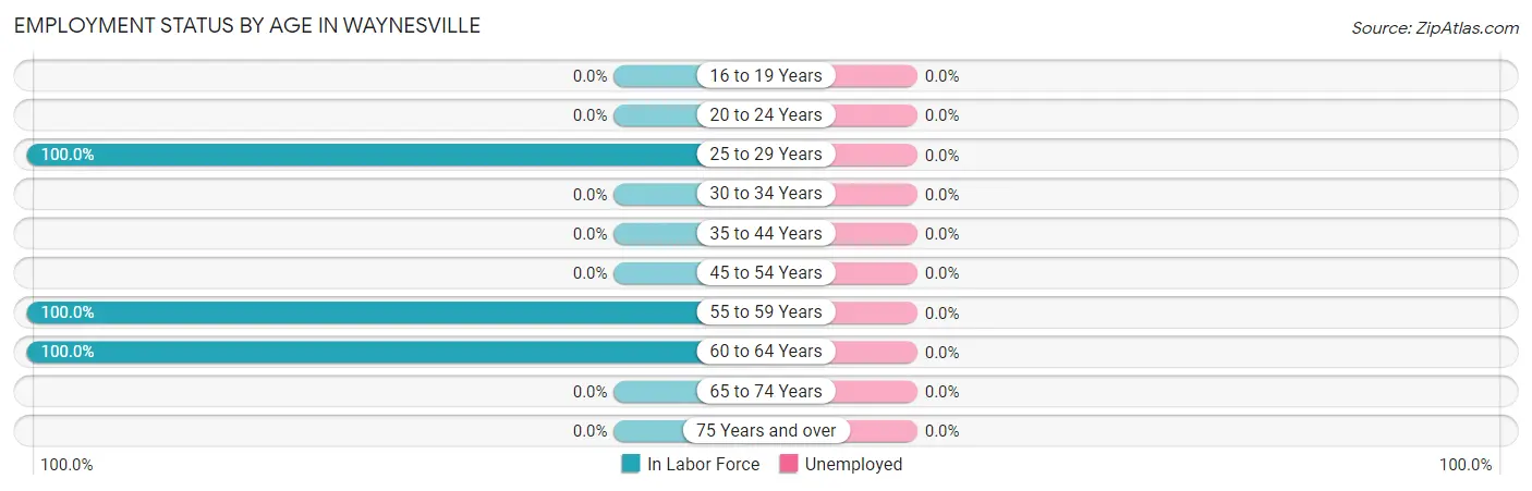 Employment Status by Age in Waynesville