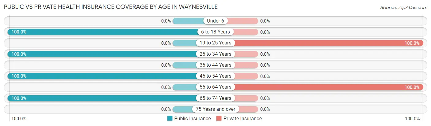 Public vs Private Health Insurance Coverage by Age in Waynesville