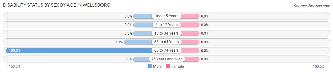Disability Status by Sex by Age in Wellsboro