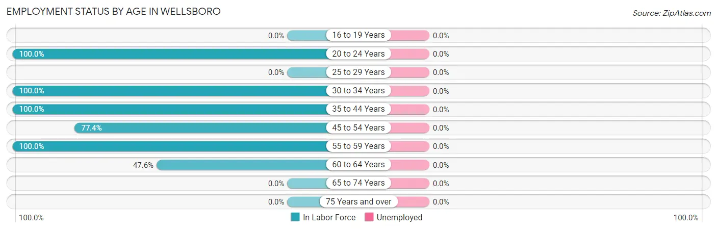 Employment Status by Age in Wellsboro