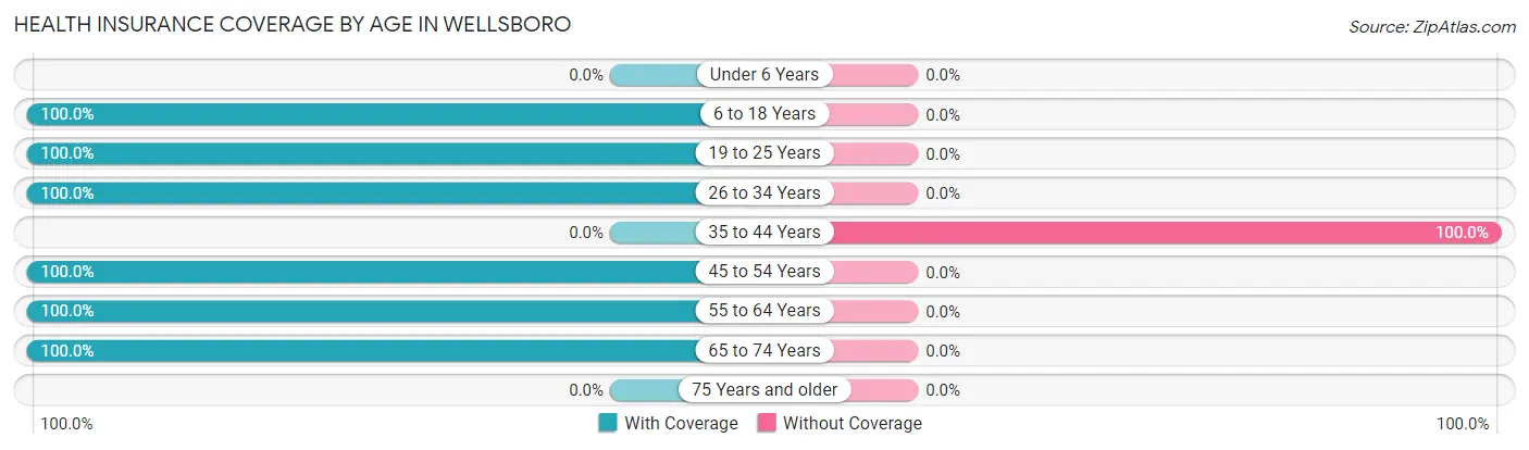 Health Insurance Coverage by Age in Wellsboro
