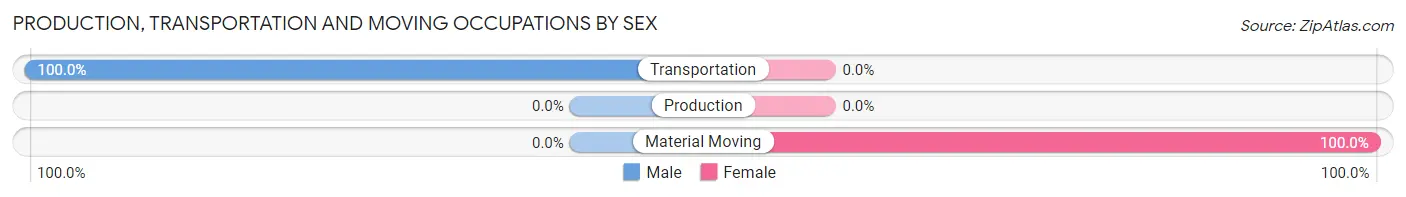 Production, Transportation and Moving Occupations by Sex in Wellsboro
