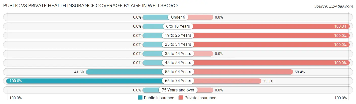 Public vs Private Health Insurance Coverage by Age in Wellsboro