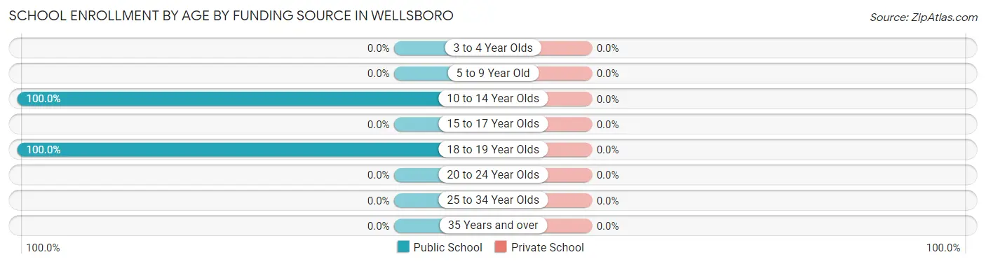 School Enrollment by Age by Funding Source in Wellsboro