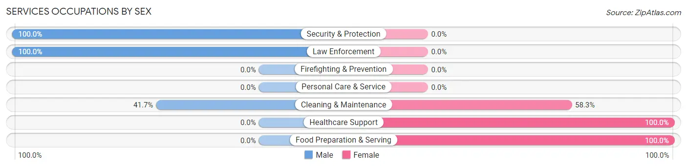 Services Occupations by Sex in West Lebanon