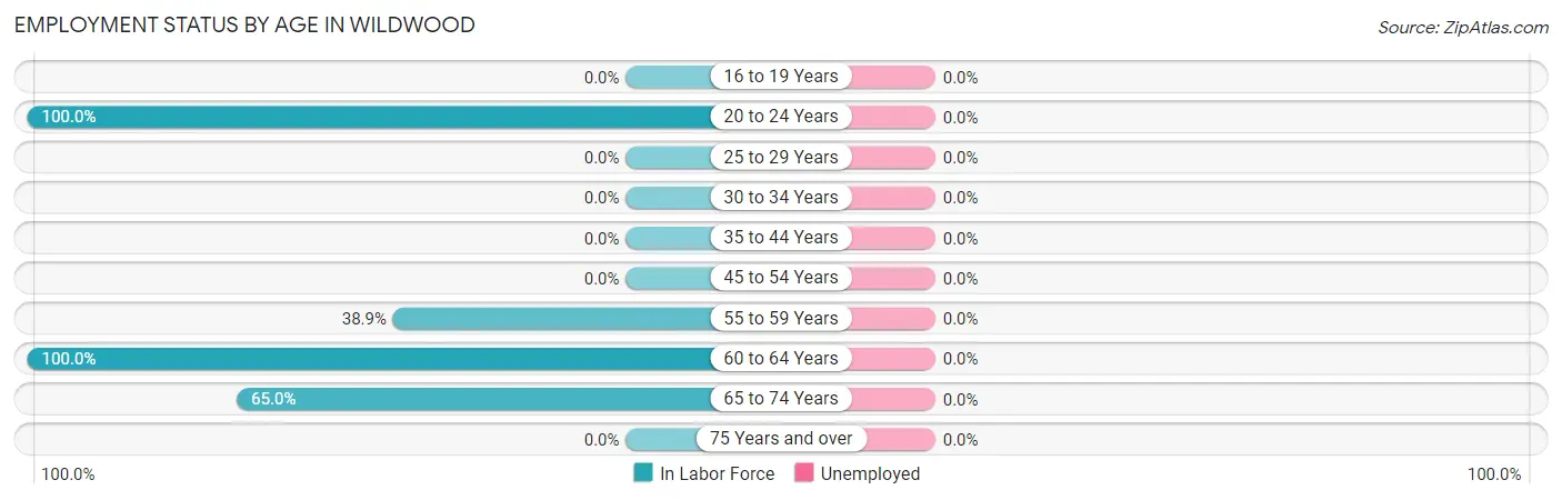 Employment Status by Age in Wildwood