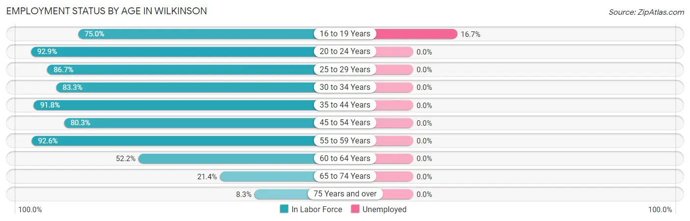 Employment Status by Age in Wilkinson