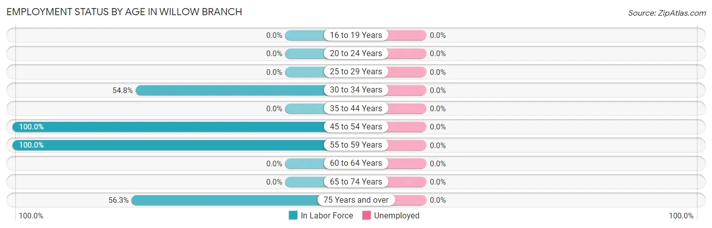 Employment Status by Age in Willow Branch