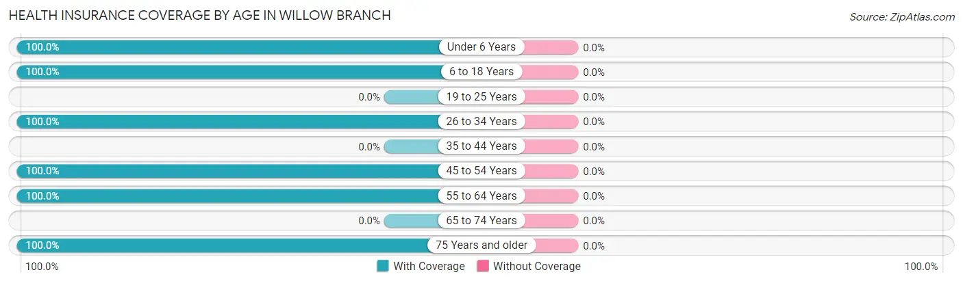Health Insurance Coverage by Age in Willow Branch