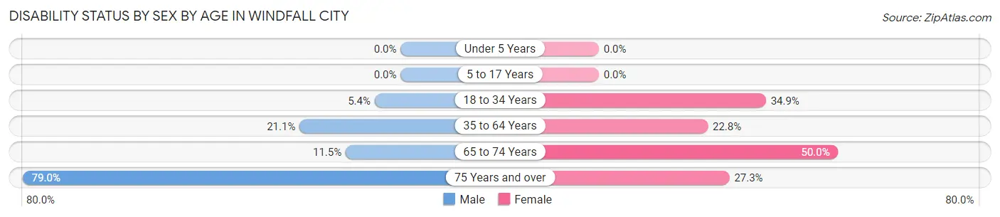 Disability Status by Sex by Age in Windfall City