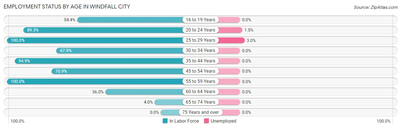 Employment Status by Age in Windfall City