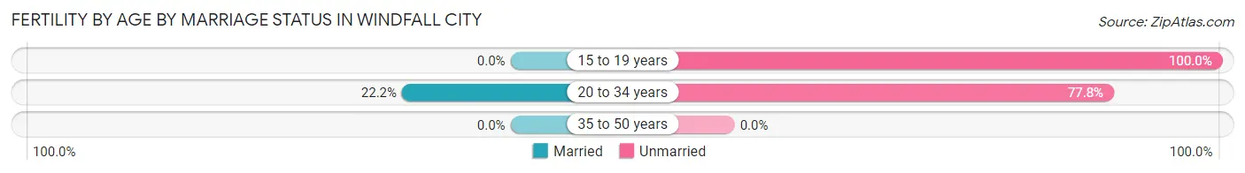 Female Fertility by Age by Marriage Status in Windfall City