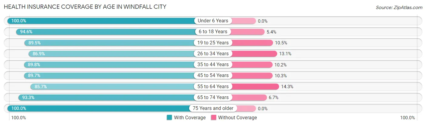 Health Insurance Coverage by Age in Windfall City