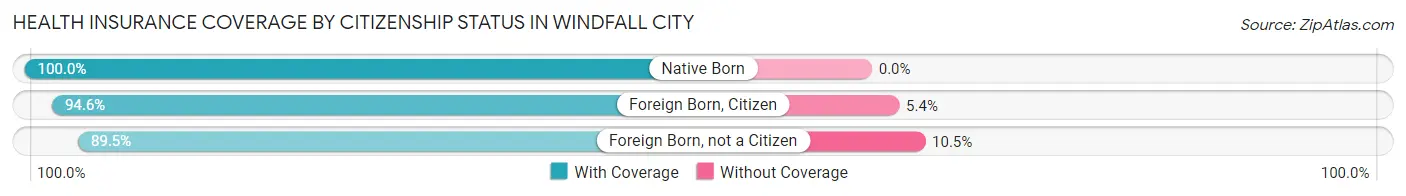 Health Insurance Coverage by Citizenship Status in Windfall City