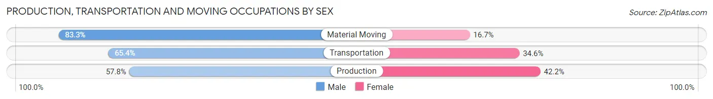 Production, Transportation and Moving Occupations by Sex in Windfall City