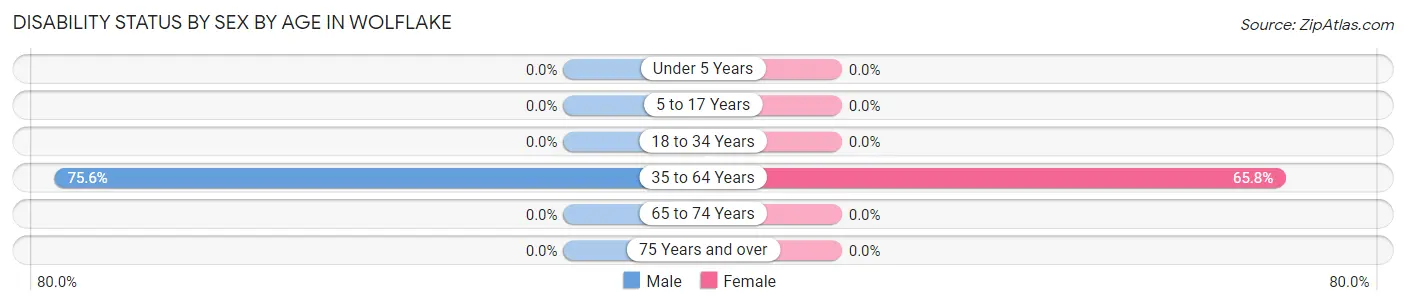 Disability Status by Sex by Age in Wolflake