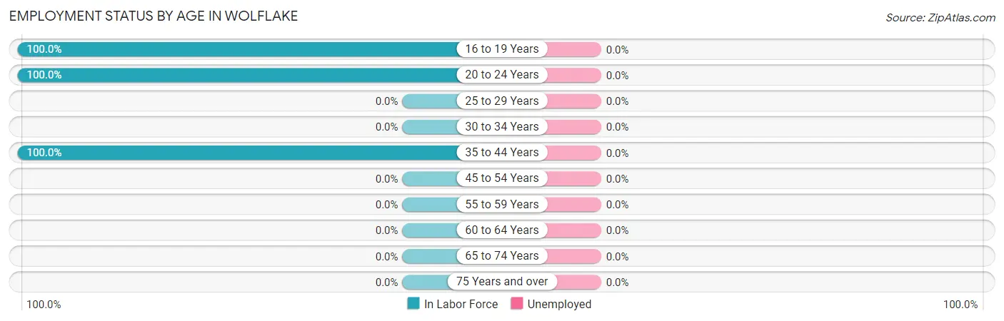 Employment Status by Age in Wolflake
