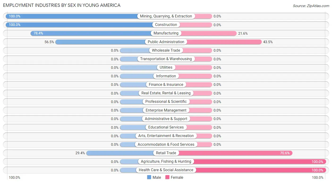 Employment Industries by Sex in Young America