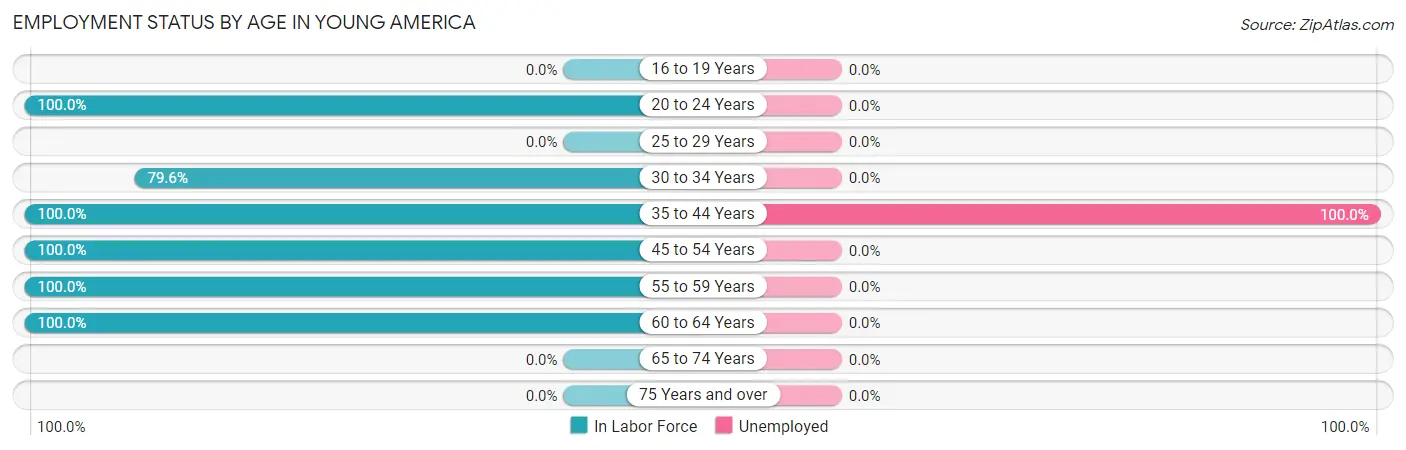 Employment Status by Age in Young America