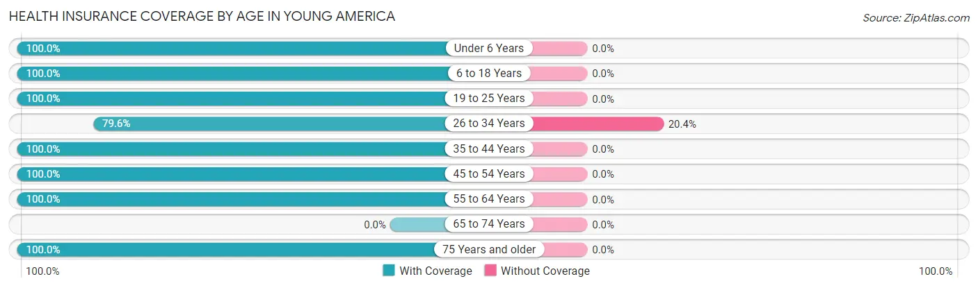 Health Insurance Coverage by Age in Young America