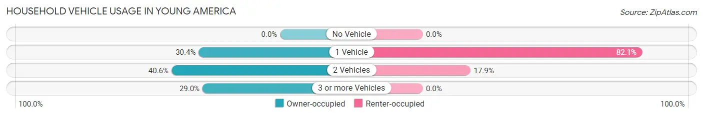 Household Vehicle Usage in Young America