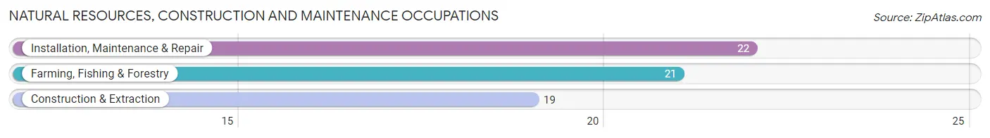Natural Resources, Construction and Maintenance Occupations in Young America