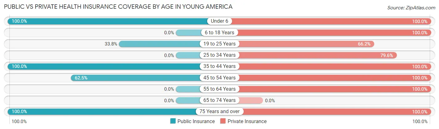 Public vs Private Health Insurance Coverage by Age in Young America
