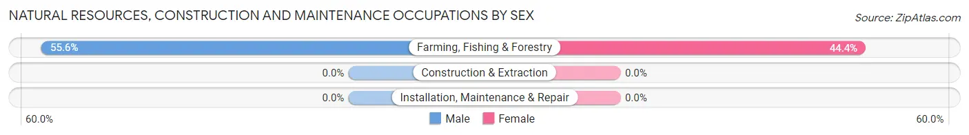 Natural Resources, Construction and Maintenance Occupations by Sex in Belpre