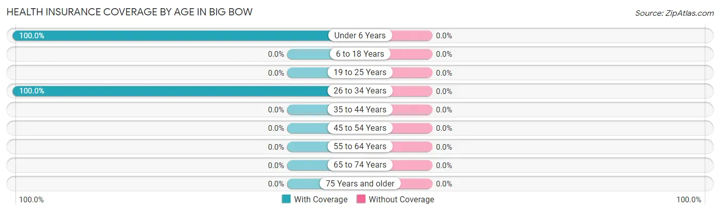 Health Insurance Coverage by Age in Big Bow