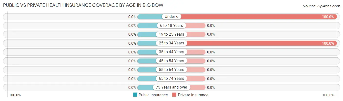 Public vs Private Health Insurance Coverage by Age in Big Bow