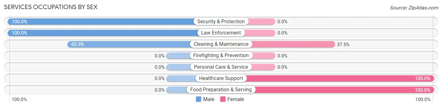 Services Occupations by Sex in Brewster