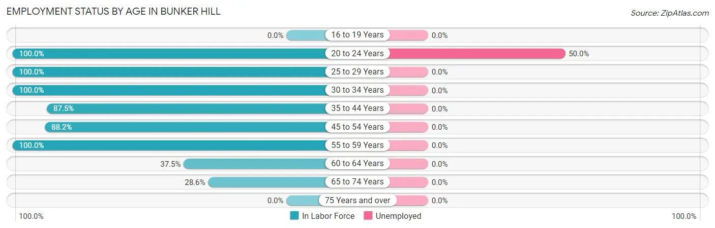 Employment Status by Age in Bunker Hill