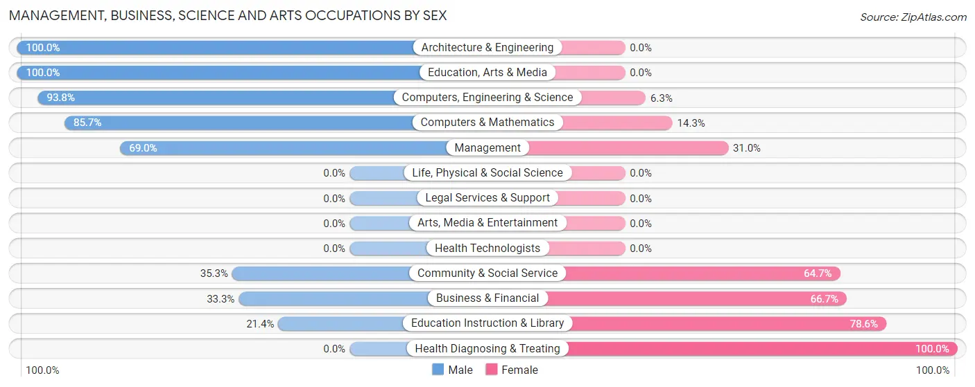 Management, Business, Science and Arts Occupations by Sex in Burden