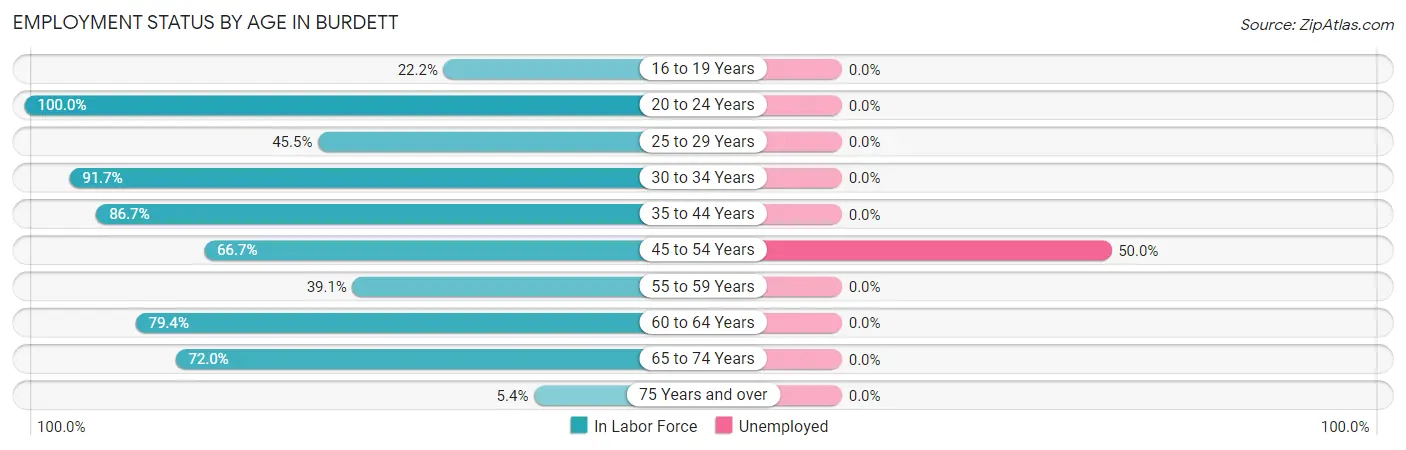 Employment Status by Age in Burdett