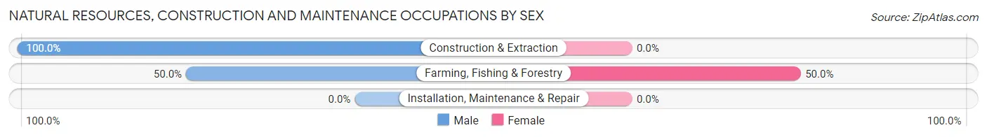 Natural Resources, Construction and Maintenance Occupations by Sex in Burdett