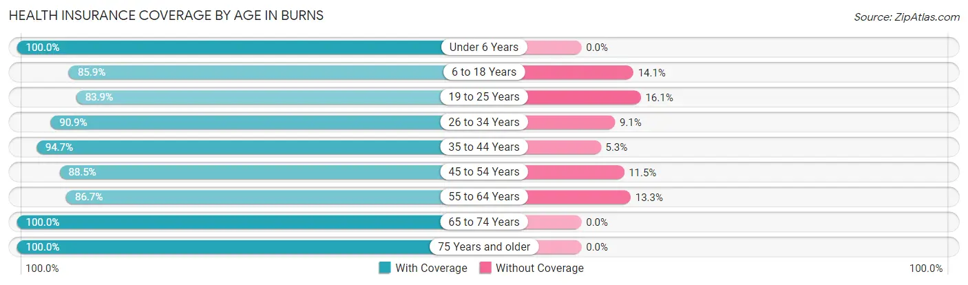 Health Insurance Coverage by Age in Burns