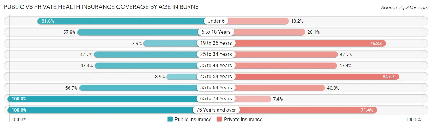 Public vs Private Health Insurance Coverage by Age in Burns