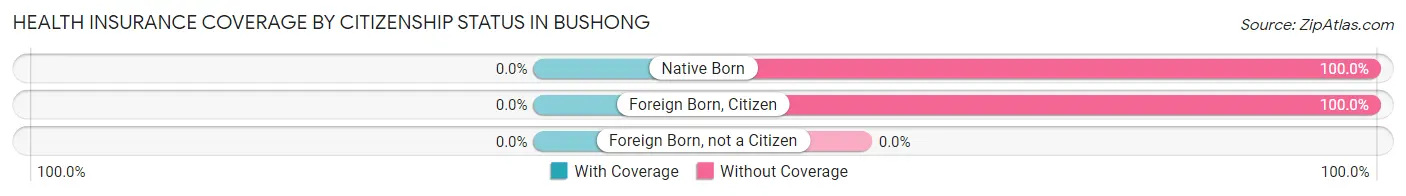 Health Insurance Coverage by Citizenship Status in Bushong
